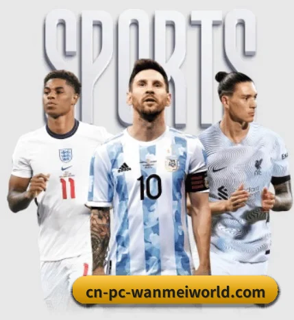 五个功能入口,赛程查询路径更短（mk sports）